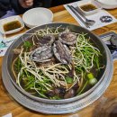 보리수커피호프
