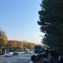 더숲엔젤 | [광주시｜화담숲] 2025년 11월 화담숲 방문후기 &amp; 꿀팁공유, 셔틀버스 운행간격, 곤돌라 늦었을 때 대처...