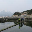 동수목장 Daum카페