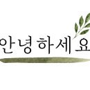 글라스틴트대구