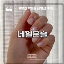 네일은,슬 - 북구 | 네일은,슬
