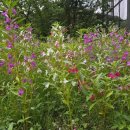 가족체험 이미지