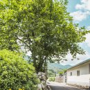 순천용오름마을 이미지