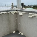 글로벌에듀로 이미지