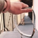 멍멍아 산책가자 이미지