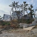 보드레펜션 이미지