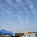 구이마루 | [내돈내산] 예산(삽교)곱창거리 큰마루곱창 솔직 후기 곱창구이는 쏘쏘, 비빔밥은 비추