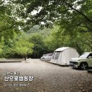 숲속고양이 | 산으로캠핑장, 강원도 홍천 숲속 오토캠핑장 후기