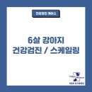 박물관옆동물병원 이미지