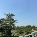 아리시장약국 이미지