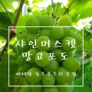 구가네농원