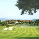 승주cc글램핑장 이미지