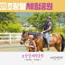 제주투어시대 네이버블로그
