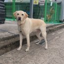 용강주공 이미지