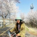 황보식당 이미지