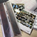 리틀베어스튜디오 | 일산 필름현상소 리틀베어 스튜디오 현상, 스캔 후기