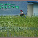 낚시여행낚시터 이미지