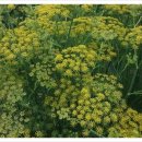 산해농장 이미지