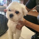 윗소사어린이공원 이미지