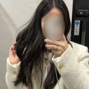 향초헤어샵 | 엔젤링이 바로 생기는 강남미용실 라리엔 강남점 프리미엄 클리닉 후기 🤍✨