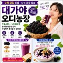 달콤한 오디판매 이미지