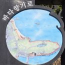 해파랑길 45코스(속초해맞이공원~대포항~외옹치항~바다향기로~아바이마을~속초등대전망대~장사항)를 다녀와서 이미지