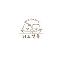 서울고양이미용실 이미지