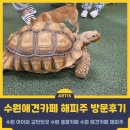 해피주 수원점 | 수원 아이와 갈만한 곳, 수원 동물카페 해피주 수원본점 방문 후기
