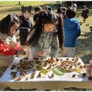 호수어린이집 이미지