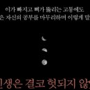 삶을 위한 고전 논어강독 | 다산의 마지막 공부 조선 후기 실학자 정약용의 삶과 사상을 조명한 책-조윤제 작가