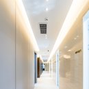 엘로디의원 이미지