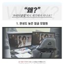 밝은실사 이미지