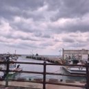 일단정지 | 제주태교여행 1일차 점심 제주정지