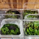 들녘목장 이미지