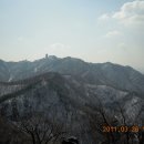 초당약품 이미지