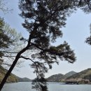 용마루1길 이미지