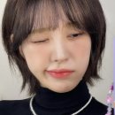 샤밍헤어 이미지