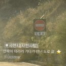 BBQ사천시청점 네이버블로그