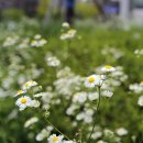 조은가든 가람점 이미지