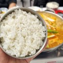 고봉김밤(신주례점) | 고성 오호항 자연산 막회 맛집 돌고래횟집, 회 맛집의 기준을 완전히 뒤바꾼 완벽했던 진짜 회맛집...