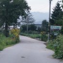 심스캐빈 이미지