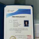 카모마일의원 | 다이소 x모제림 7종 제품 후기 /두피관리 가성비탈모샴푸 추천