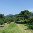 팔성2리 이미지