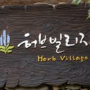 허브빌리지