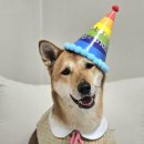 까까시몽 이미지