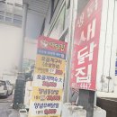 새닭집