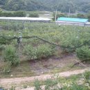 초성 농장 이미지