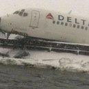 여행하는 나무 이미지