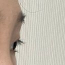 속눈썹하리 | 전주 인후동 하리브로우 저렴하게 왁싱, 속눈썹펌 후기