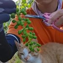 승연농장 이미지